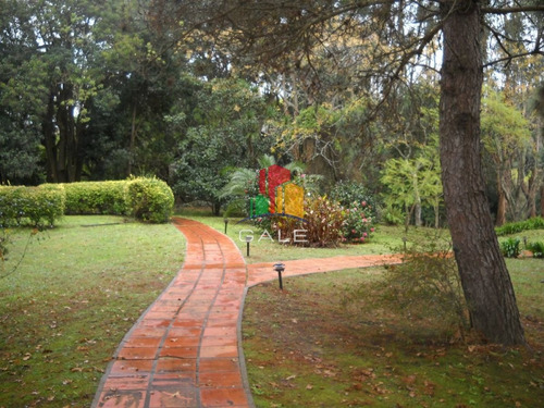 Imagen 13 de 30 de Venta Chacra Punta Del Este - Zona Rural