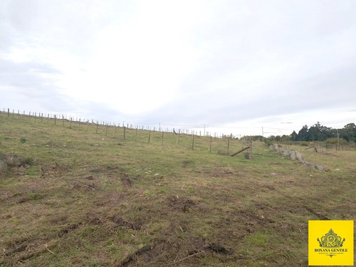 Imagen 3 de 5 de ¡vendo Excelentes Fracciones! Excepcional Vista A 10 Minutos Del Centro De Tandil
