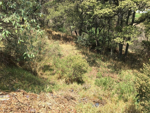 Venta De Terreno En Boulevard Bosque Real, Huixquilucan, Tvi1020
