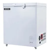 Comprar 12 Volts- Freezer 158l - Corriente Continua- Werke 