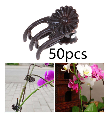 Juego De 50 Pinzas De Plástico Para Orquídeas, Marrón
