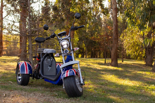 Imagen 2 de 15 de Triciclo Moto Eléctrica Tricoco Citycoco - Trike Uruguay