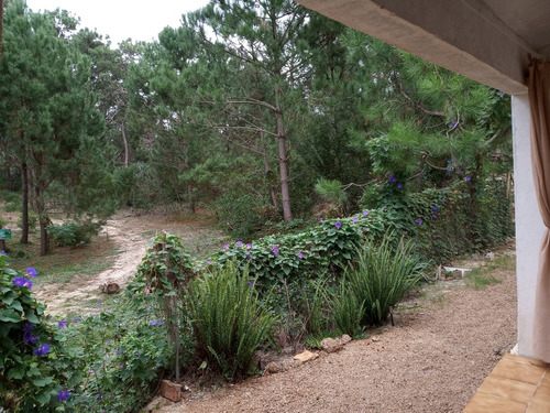 Imagen 6 de 12 de Buen Descanso Con Naturaleza