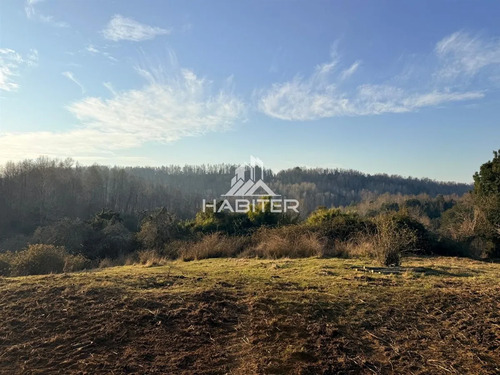 Cod40127 Agrícola En Venta En Cunco 15 Ha. Con Vertiente