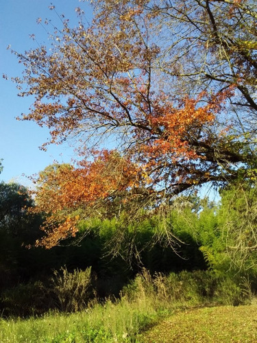 Imagen 11 de 11 de Terreno En Venta En Marcos Paz