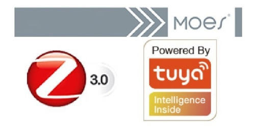 Imagem 3 de 4 de Kit 4 Interruptores Dimmer Zigbee 2 Teclas Alexa Google Home