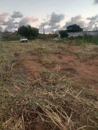 Imagem 3 de 3 de Terreno Em Stella Maris Para Aluguel, 1089m². - Te00003 - 69584579