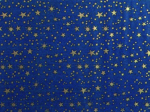 Cielo Metálico Bertoni Con Estrellas Doradas