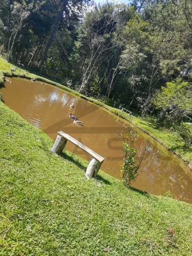 Imagem 11 de 30 de Sítio À Venda Em Juquitiba, Excelente Localização Na Rodovia Régis Bittencourt, Ideal Para Lazer, Moradia Ou Comercio - 85 - 70324044