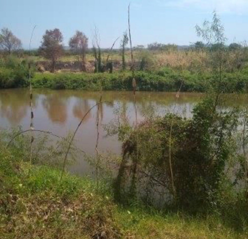 Imagen 20 de 20 de Ideal Terreno Comercial Frente A La Pepsi Y A Orilla De Río