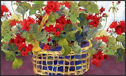 Toland Home Garden  Cesta De Geranio 18 Para Manualidades 50