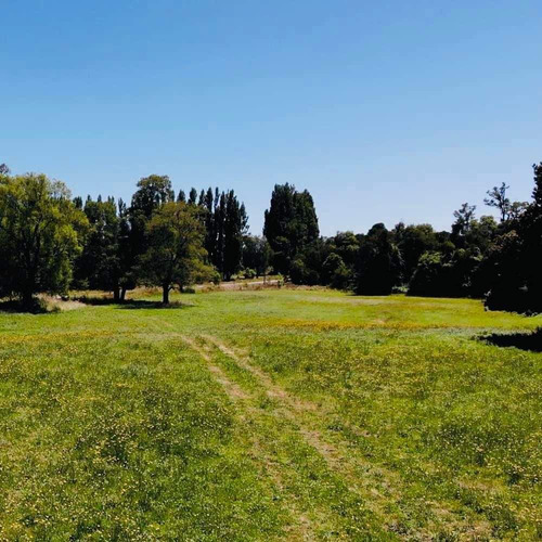 Parcelas En Frutillar, Bosques Y Praderas. Financiamiento