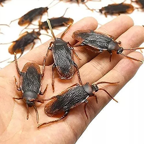 Set 20 Cucarachas Broma Falsas Halloween Insectos Plastico Negro Café
