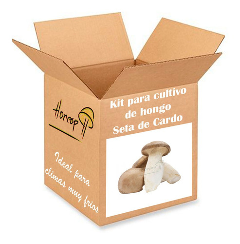 Kit Cultivo Hongo Seta Cardo - Micelio Pleurotus Eryngii