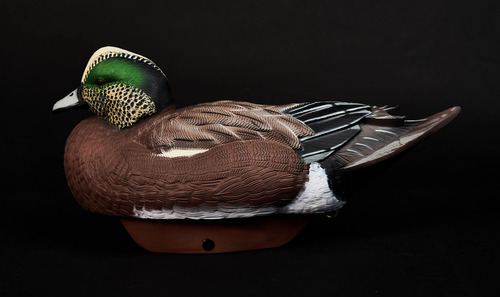 Lifetime Decoys Hydrofoam Wigeon, Ligera