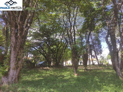 Imagem 11 de 30 de Chácara De 4.900m (uma Quadra Inteira) Com Excelente Localização Dentro Da Cidade De Indaiatuba. - Ch00316 - 3516640