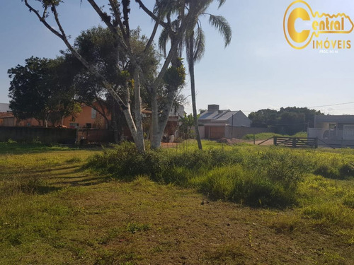 Imagem 4 de 10 de Terreno Localizado(a) No Bairro Santo Antonio Em Balneário Piçarras / Balneário Piçarras - 1058