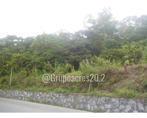 Imagen 2 de 7 de Vende Amplio Terreno Ubicado En La Urbanizacion Colinas De Pasatiempo San Antonio De Los Altos, Vía San Diego. Cf
