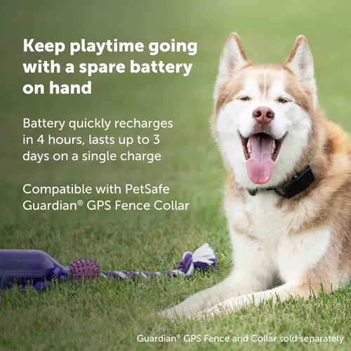 Guardian petsafe replacement collar sales