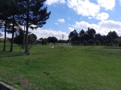 Imagem 16 de 17 de Chácara Para Venda - 10561.001