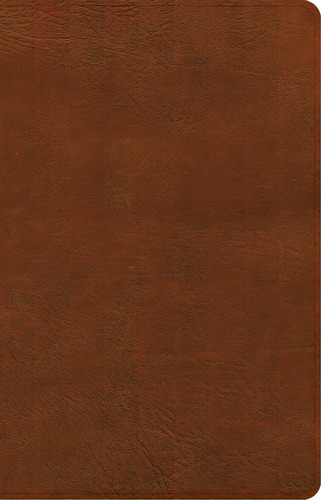 Nasb Large Print Personal Size Reference Bible, Burnt Sienna Leathertouch, De Holman Bible Publishers. Editorial Holman Bibles, Tapa Dura En Inglés