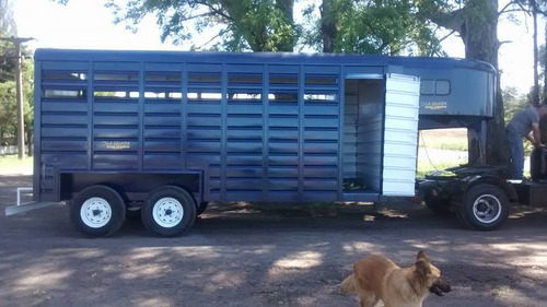 Imagen 14 de 14 de Trailers Caballos, Batan Salto La Guapa