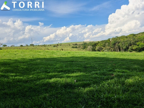 Belo Haras À Venda Em Porto Feliz - Ha00013 - 69329721