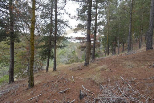 Terreno Tunquén: Naturaleza Y Vista Al Mar