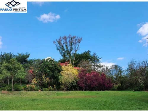 Imagem 15 de 17 de Sitio De 66.000m Em Helvétia (indaiatuba) Com Excelente Estrutura - St00070 - 70749291