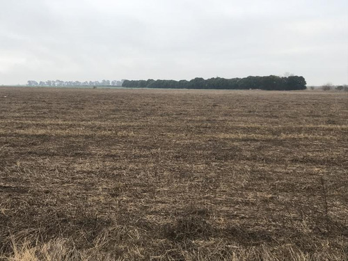 Imagen 2 de 4 de Campo En Soldini