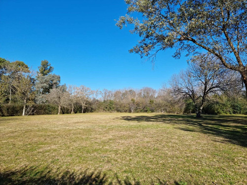 Imagen 3 de 14 de Terreno En Venta 1800m2 Con Excelente Arboleda