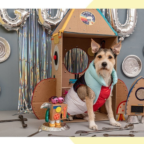Imagen 4 de 5 de Buzo Abrigo Campera Ropa Para Perros Mediano Grandes Elecant