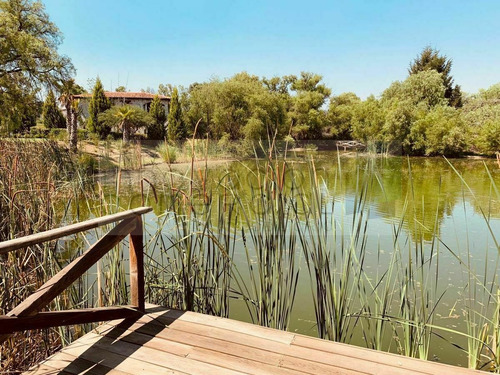 Imagen 1 de 24 de San Miguel De Allende, Terreno En Venta Dentro De Viñedo