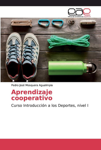 Libro: Aprendizaje Cooperativo: Curso Introducción A Los I