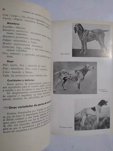 Perros De Rastro Y De Parada / Juan Roig (Usado)