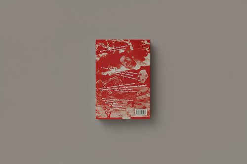 Livro Poesia Pois É Poesia De Décio Pignatari Edição 1 Português 2025 Editora Companhia Das Letras