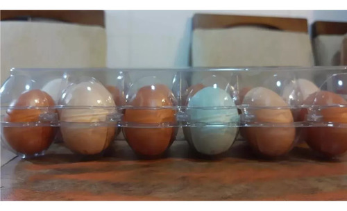 50 Caixas De Ovos Para 12 Ovos, Plástico Durável, Fazenda