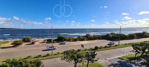 Imagen 3 de 25 de Punta Del Este Uruguay!!! Primicia Primera Linea Hacia El Mar!!