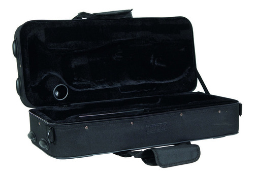 Trompeta Bb/c Laqueado Dorado Con Estuche Wesner Ptr1000c-g