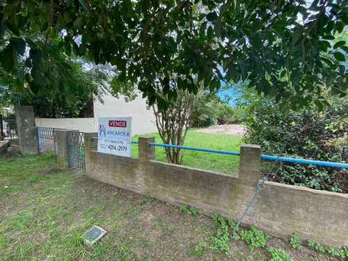 Imagen 7 de 12 de Venta De Lote En Chascomús