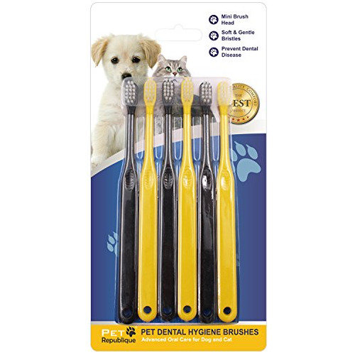 Pet Republique Mini Cepillo De Dientes Para Gatos Y Gjt6e