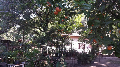 Imagem 14 de 30 de Chácara Residencial À Venda, Bairro Inválido, Cidade Inexistente - Ch0105. - Ch0105