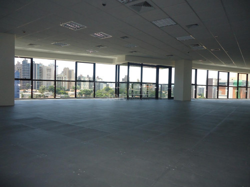 Imagem 4 de 14 de Sala Para Aluguel Em Cambuí - Sa007055