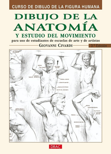 Dibujo Anatomia Estudio Del Movimiento