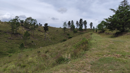 Imagen 7 de 16 de Campo A La Venta En Potrero De Garay Con 200 Mts De Costa Al Río Los Espinillos De 17 Ha.