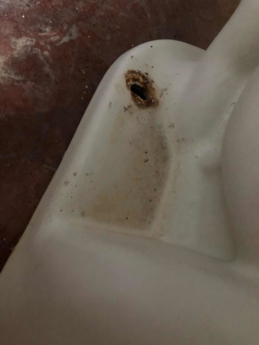 Imagen 7 de 10 de Leer Bien Sanitario Usado En Perfecta Condición Con Herrajes