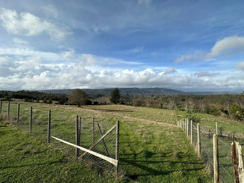 Terreno De 5000 M2 En Cañete, Tranquilidad Y Proyección