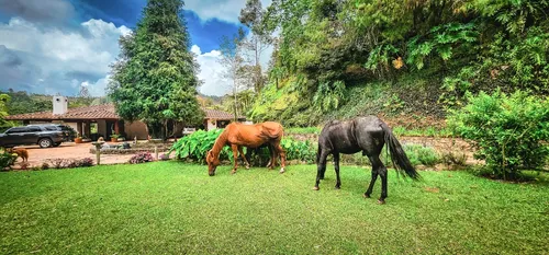 Finca Para Venta En Llanogrande Don Diego