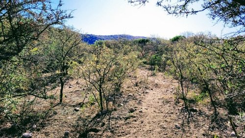 Imagen 14 de 18 de Lote En Los Hornillos Bv. Los Olivares Escrituracion Futura