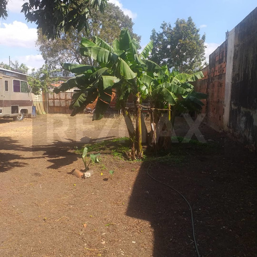 Imagen 3 de 4 de Terreno En Trigal Norte Cod:142523 Marimer 04124382769